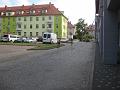 IMG_5575