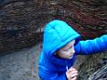 SAM_0566