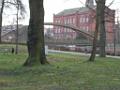 SAM_0659