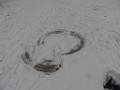 SAM_0673