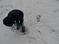 SAM_0674