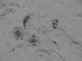 SAM_0675